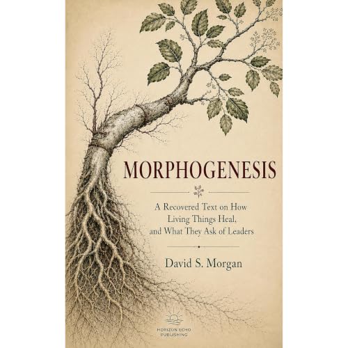 Morphogenesis Audiobook By David S Morgan cover art