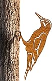 Rostfigur Vogel Specht aus Metall – 30 cm hoch mit angeschweißter Schraube – Wetterfeste Edelrost Gartendeko zum Anschrauben an Baum, Zaun oder Wand – Handgefertigte Tierfigur für den Außenbereich