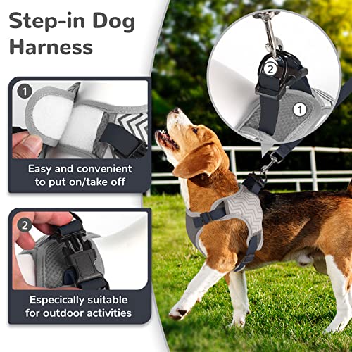 Hrttsy Small Dog Harness And Leash Set Soft Mesh Puppy Harness Cute Fashion Reflective Adjustable No Pull Cat Dog Vest Harness For Small Medium Dogs Cats Pug Yorkie Harness (Gray,S) #TOP3