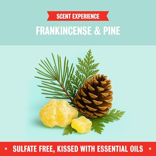 Image of Rebel Green Super Deluxe Dish Soap - Plant-Based Sustainable Dishwashing Soap - Frankincense & Pine Scent - 16 fl oz - 1 Pack