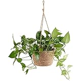 mecaponn 植木鉢 吊り鉢 観葉植物 花鉢 ハンギングバスケット 綿縄 プラントハンガー 吊り下げ 壁掛け 屋内 屋外 おしゃれ ガーデニング装飾