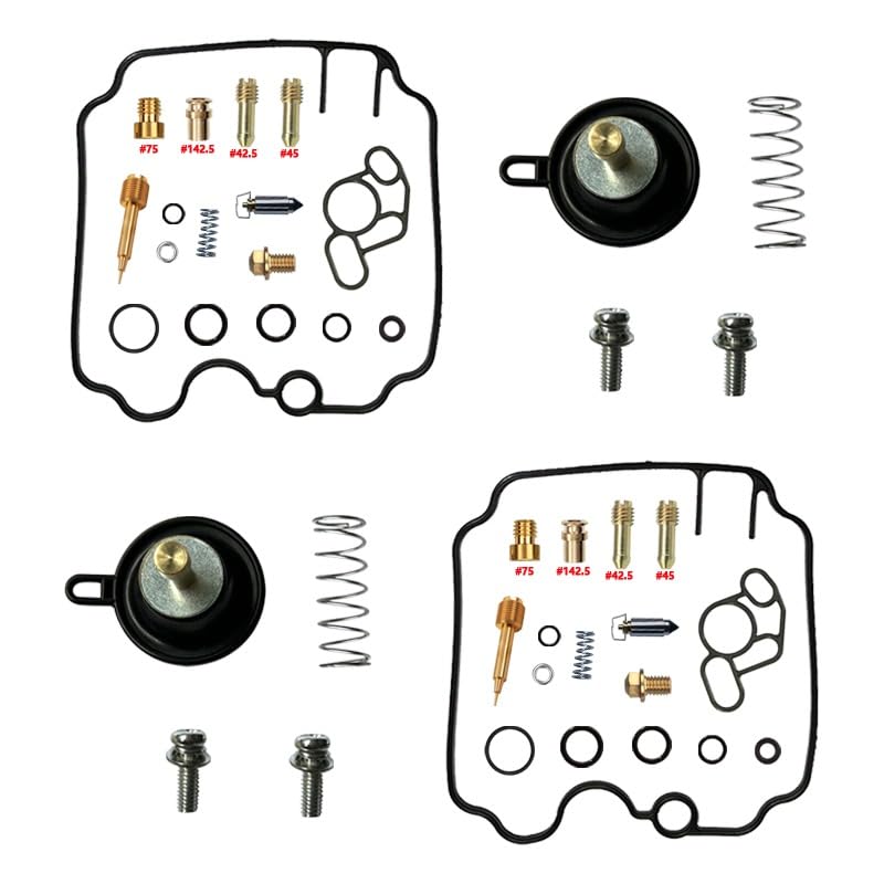 Problème ralenti TDM850 4TX résolu avec le kit carburateur avec Air Cut incluse