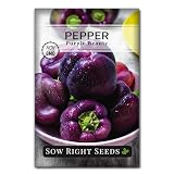 Sow Right Seeds - Purple Beauty Pepper Seeds for Planting - Non-GMO Heirloom Packet with Instructions to Plant and Grow an Outdoor Home Vegetable Garden - Sweet Bell Variety, Violet Purple (1)