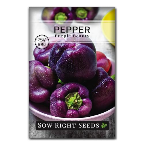 Sow Right Seeds - Purple Beauty Pepper Seeds for Planting - Non-GMO Heirloom Packet with Instructions to Plant and Grow an Outdoor Home Vegetable Garden - Sweet Bell Variety, Violet Purple (1)