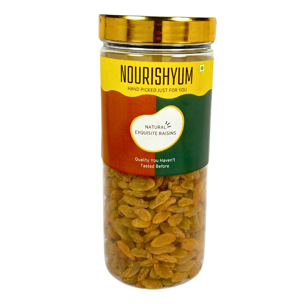 Nourishyum Raisins 500 grams With Reusable Jar | Dried Grapes | Kishmish | Nuts & Dry Fruits (B0D9NXW4LS) Amazon Price History, Amazon Price Tracker