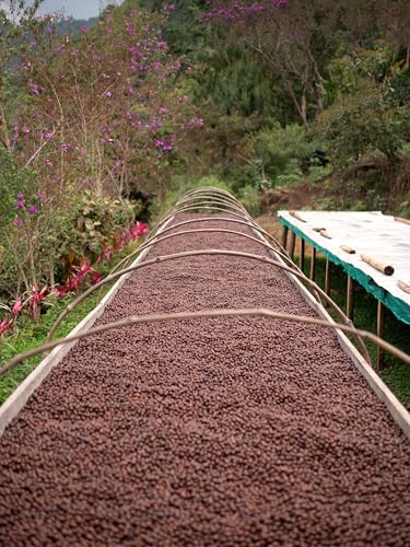 Image of Premium Peru Unroasted Specialty Green Coffee Beans - Single Origin 100% Arabica - Bulk Wholesale Pricing (10 Pound Bag /4.5kg)