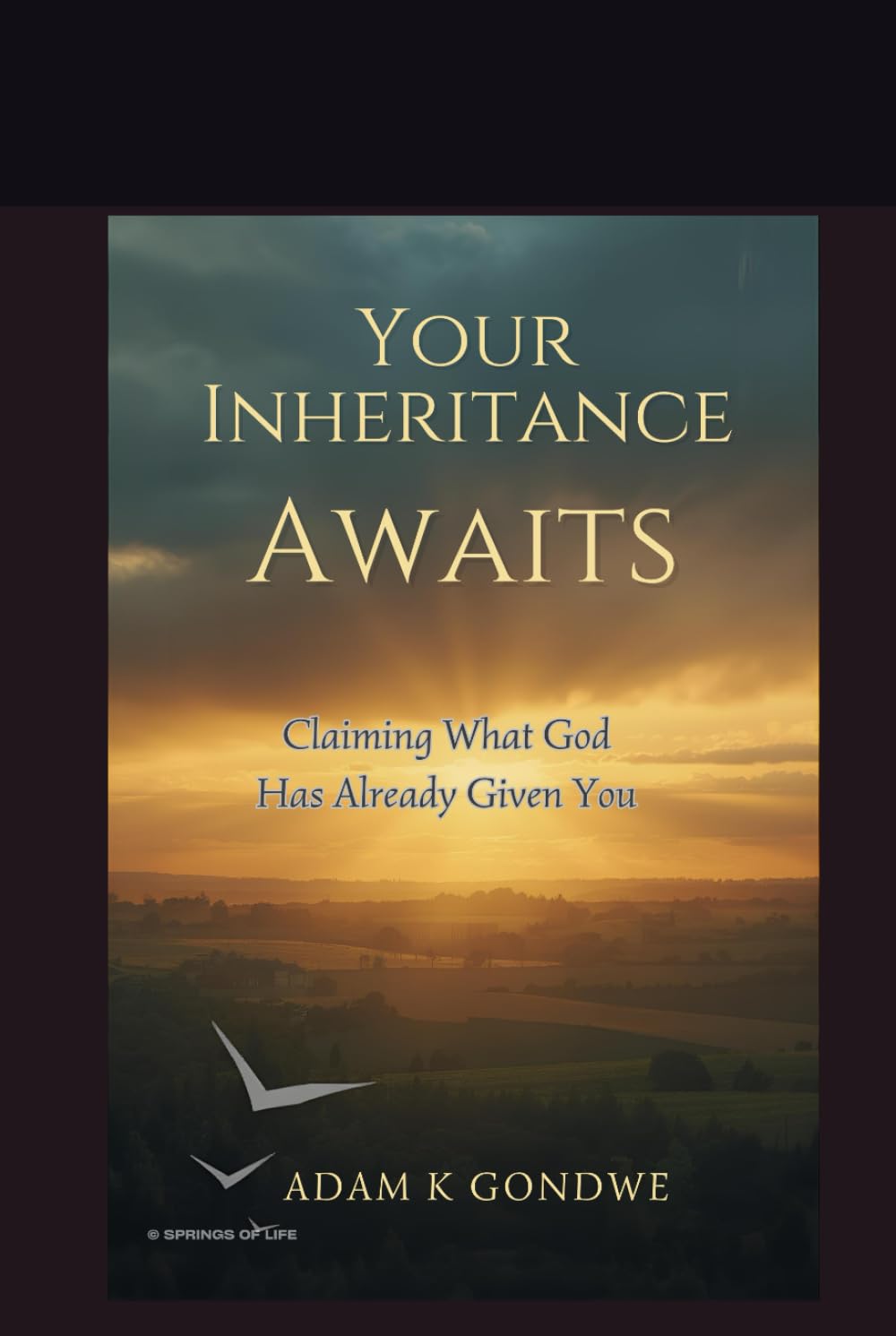 Your Inheritance Awaits: Claiming What God Has Already Given You