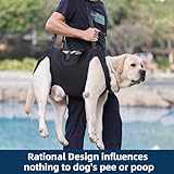 Duuclume Hunde-Hebegeschirr, Notfall-Rucksack-Haustier-Bein-Unterstützung & Rehabilitation Hunde-Sling-Träger, Verstellbare Hebegurte Hunde-Träger für Senioren Alte Hunde Gelenkverletzungen Arthritis