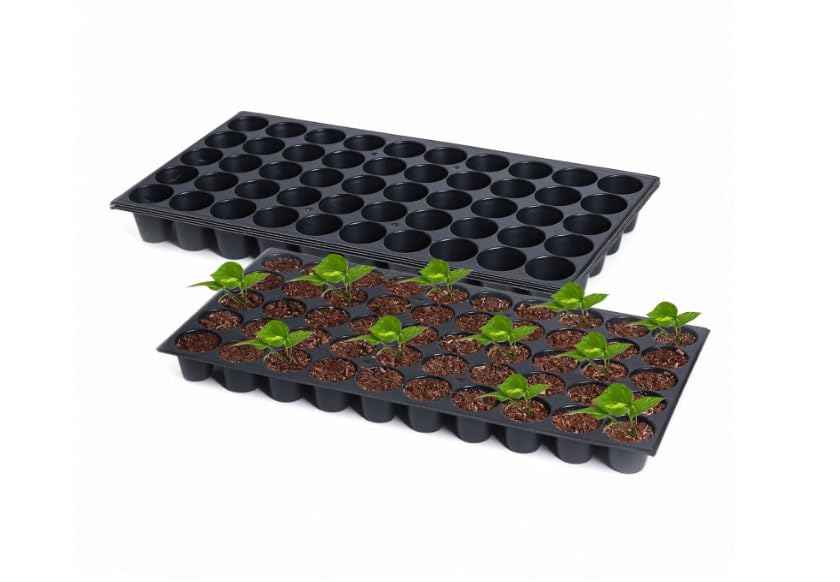 50 Cavity Seedling Tray | Reusable Plant Germination Tray | Nursery Seed Starter Tray for Home Garden & Vegetables (Medium, 5, Count)-image-7