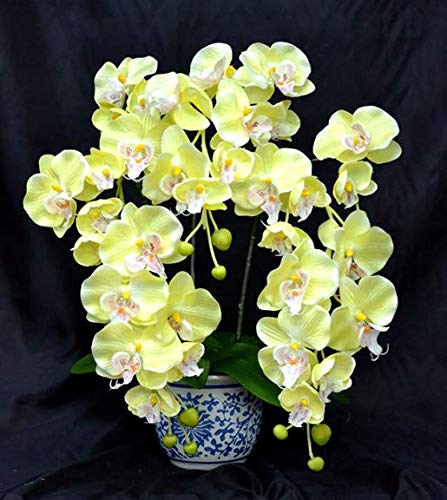 ✨特大✨黄色＆白バラミックスプリザ＆カーネーション＆胡蝶蘭（アーティシャルフラワ 光触媒 胡蝶蘭 7本立ち アーティフィシャルフラワー 1鉢 ソープ