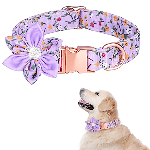 Top 10 Best Purple Dog Collars Top Picks 2023 Reviews