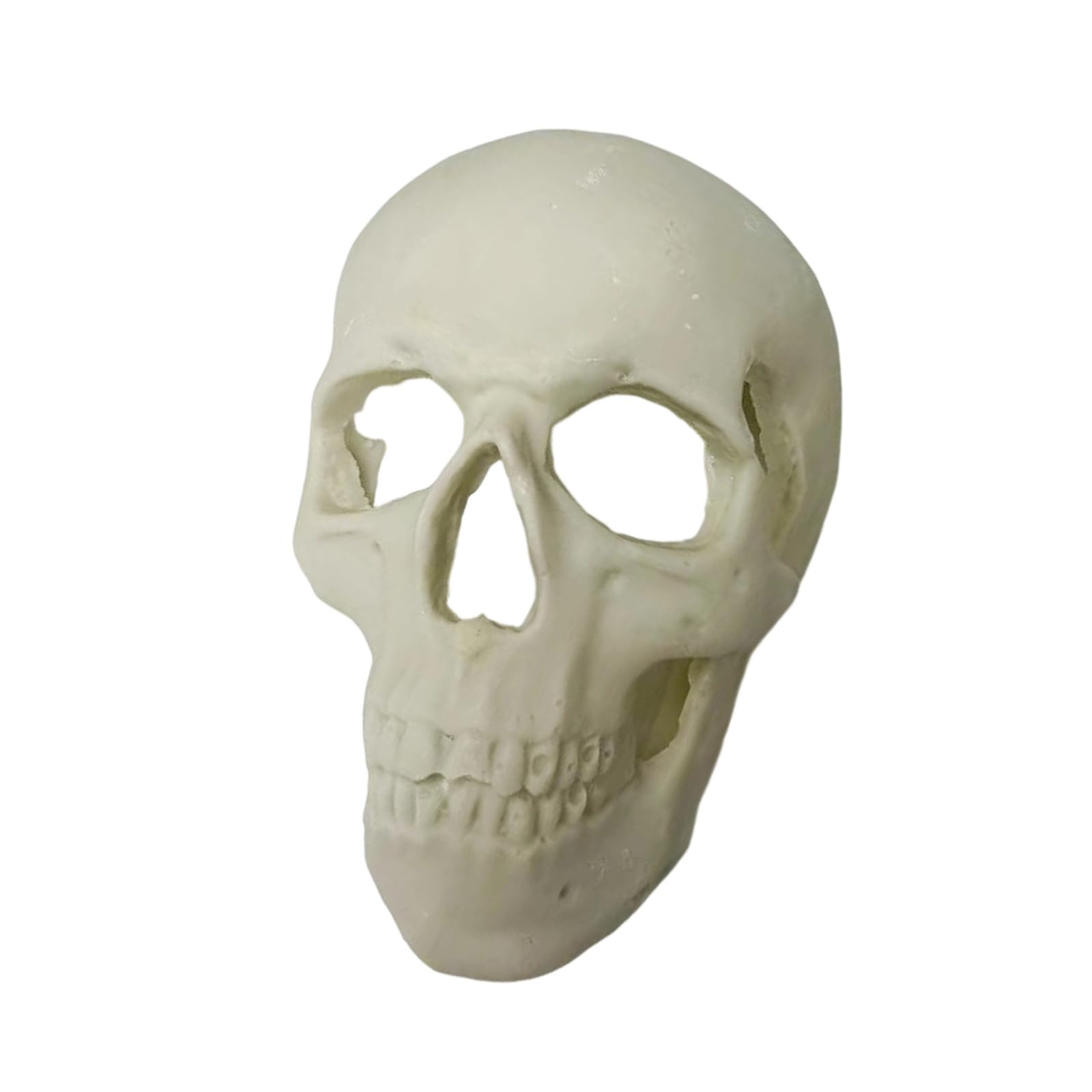 Terrarium Skull Ornament Resin Decor for Enclosure Styling, Seasonal Accent for Habitat and Halloween Display Themes Terrarium Skull Decor Enclosure Ornament Habitat Styling Resin Display Halloween