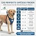 Nature Pet Tragehilfe für Hunde Vorne - Tragegurt als Treppenhilfe & Gehhilfe - Ideal für ältere, kranke oder operierte Vierbeiner - Hunde-Hebegurt für Mobilität (L, Blau)