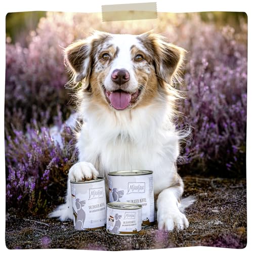 MjAMjAM – Premium Nassfutter für Hunde - delikater Büffel an gekochten Kartoffeln, 6er Pack (6 x 200g), getreidefrei mit extra viel Fleisch