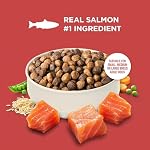 Nutrish Rachael Ray Adult Dry Dog Food Real Salmon, Veggies & Brown Rice Recipe, 4.5 lb. Bag - Image 4