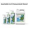 Aquascape MAINTAIN Water Treatment for Koi and Fish Ponds, Easy To Use, Powerful Blend of Beneficial Bacteria, Phosphate Binder, Flocculent, and Detoxifier, 1 gallon / 3.78 L | 96060 #2