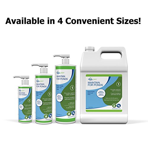 Aquascape MAINTAIN Water Treatment for Koi and Fish Ponds, Easy To Use, Powerful Blend of Beneficial Bacteria, Phosphate Binder, Flocculent, and Detoxifier, 1 gallon / 3.78 L | 96060