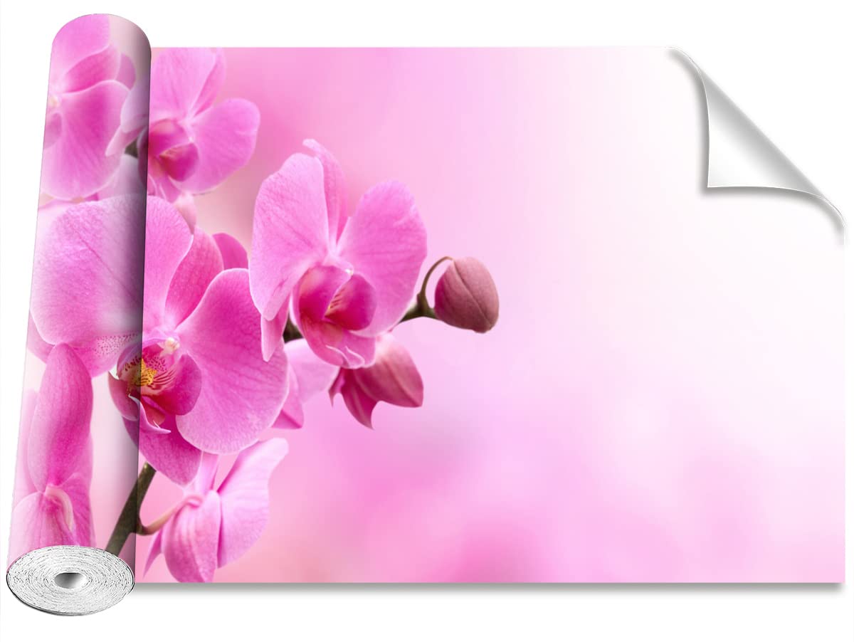 Papier peint orchidée rose 416x254cm pour masquer un mur abîmé