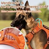 rabbitgoo Hundegeschirr mittelgroße Hunde, Anti Zug Geschirr Hund Verstellbar mit Griffe Verbreitert, Robust und Verschleißfest, Taktisches Hundegeschirr mit Metallschnallen zum Wandern(M, Orange)