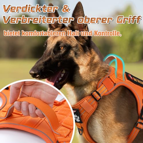 rabbitgoo Hundegeschirr mittelgroße Hunde, Anti Zug Geschirr Hund Verstellbar mit Griffe Verbreitert, Robust und Verschleißfest, Taktisches Hundegeschirr mit Metallschnallen zum Wandern(M, Orange)