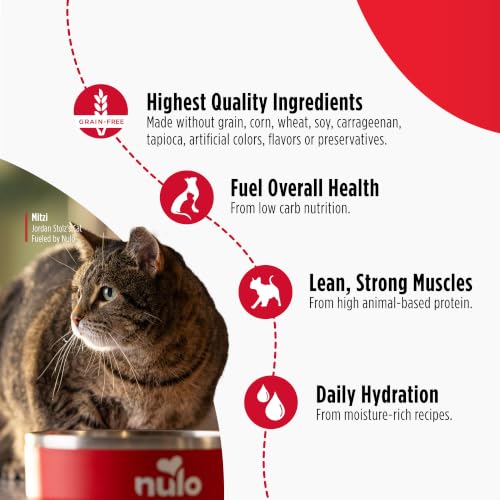 Image of Nulo Beef & Lamb Recipe Pate Wet Canned Cat Food, 5.5 Ounce (Pack of 24)
