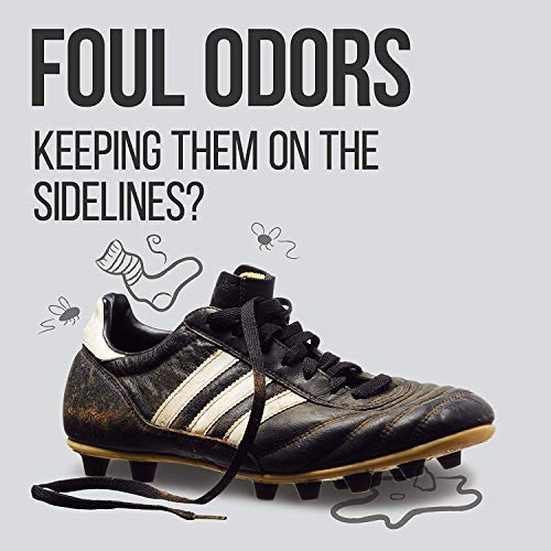 Peet, Deodorizer Shoe And Boot Sanitizing And Deodorizing Module #TOP7