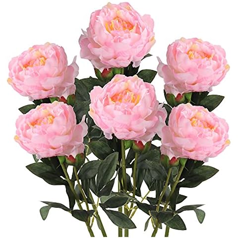 Grand Verde Artificial Peonies Silk Peony Flower Heads 25” Tall Stems Fake Floral Decoration Bridal Bouquet Wedding Party Table Centerpiece Vintage Home Décor 6 PCS Set (Blush Pink) Cover
