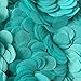 6000 Wedding Confetti Biodegradable Paper Circles Party Balloons 20 Guests (Blue green)