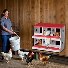 Nesting Boxes 6 Compartment Metal Chicken Nest for Chicken Coop,Nesting Boxes for Chicken, Indoor & Outdoor Use,Easy Egg Collection, Easy Cleaning