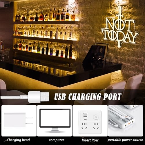 Image of Not Today Neon Sign, Anime Sword Neon Light for Man Cave Living Room Decor | USB Powered with Dimmer Switch Not Today Anime Game LED Light Sign for Bedroom Party Dorm Man Cave Living Room Game Room
