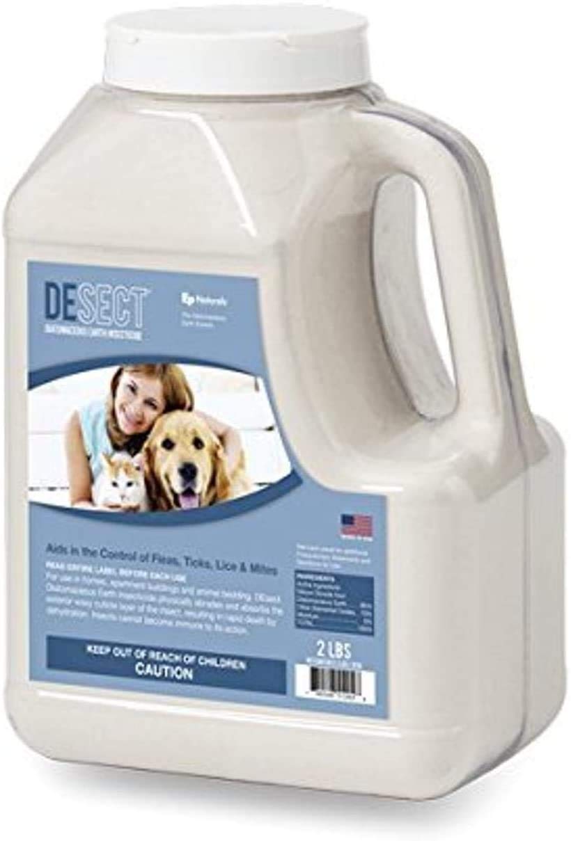 Will Diatomaceous Earth Kill Fleas On Dogs