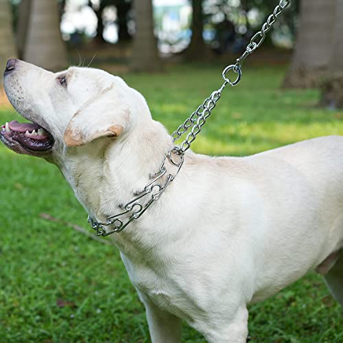 Pettom Dog Prong Collar Dog Choker Pinch Collar No Pull With Comfort Rubber Tips Silver Plating Adjustable Link Chain For Medium Large Dogs Pitbull (L 25.2 Inch) #TOP7