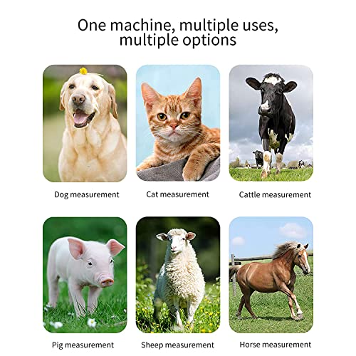 Pet Thermometer, Animal Electronic Thermometer Digital Lcd Pet Thermometer With Memory Function Non-Contact Pet Thermometer For Dogs Cats Rabbit Puppies Horses Livestock Pet Clinic #TOP5