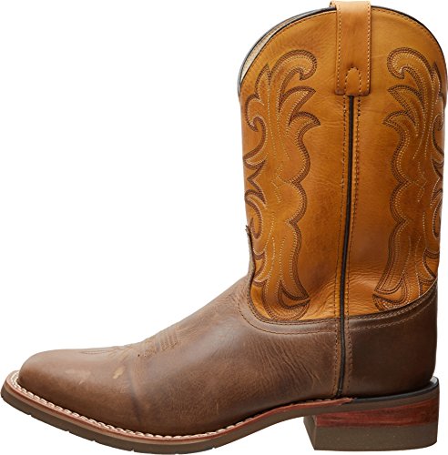 Image of Dan Post Men's Ferrier
