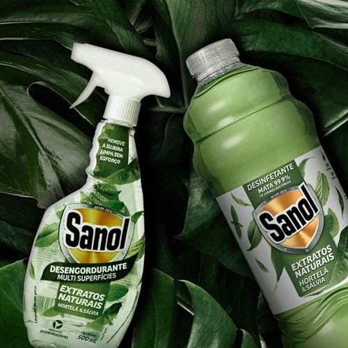 Sanol - Desinfetante Líquido para uso Geral, Extratos Naturais, Hortelã & Sálvia, Verde, 2 Litros