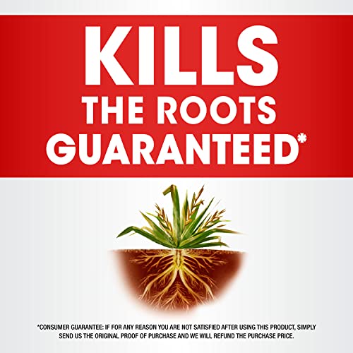 Roundup Concentrate Plus Weed and Grass Killer - Includes Easy Measure Cap, 36.8 oz. - image 2