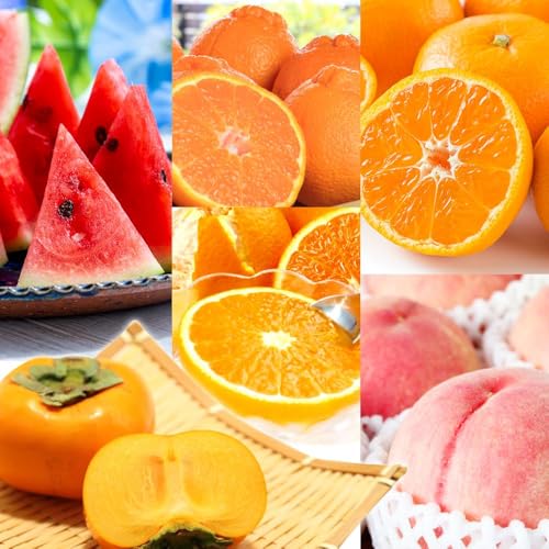 [定期便][2・4・6・8・10・12月 偶数月発送 全6回]和歌山産 旬のフルーツ お楽しみ 定期便 [魚鶴商店][UT113]