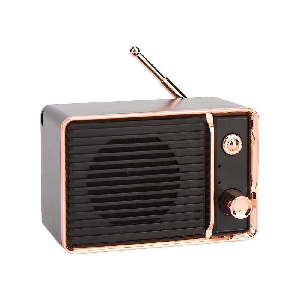 FACAZ Mini Speaker, Hands-Free Call Home Speaker, for Indoor Outdoor(Black)