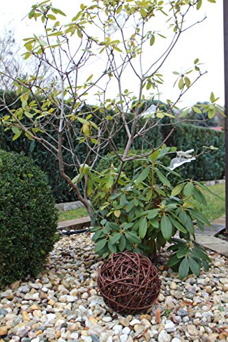 Marcus Weidenkugel in 6 Größen, Dekokugel aus Weide Weidenball Gartenkugel Rebenkugel Handgefertigt in EU (20cm)