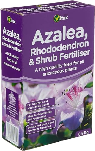900g Azalea Rhododendron & Shrub Fertiliser, Ideal For All Acid Loving Plants