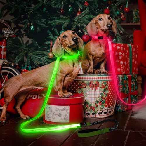 Leuchthalsband Hund & LED Hundeleine Set 2-in-1 Aufladbar mit Typ-C, 500m Sichtbarkeit Dehnbares Band für Nachtspaziergänge（Grün，L