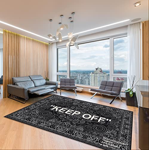 Image of YIKUDU Keep Off Large Rugs Floor Mat Modern Carpet for Home Decoration Area Rug,Cozy Art Decoration Polyester Carpet 60 x 40 ''