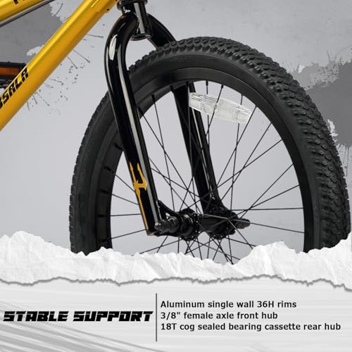 cubsala 20 Inch Gold BMX Race