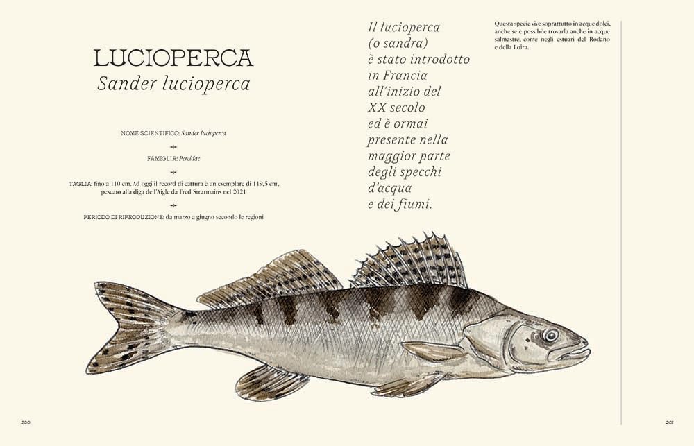 Acqua dolce. Tecniche di pesca e ricette