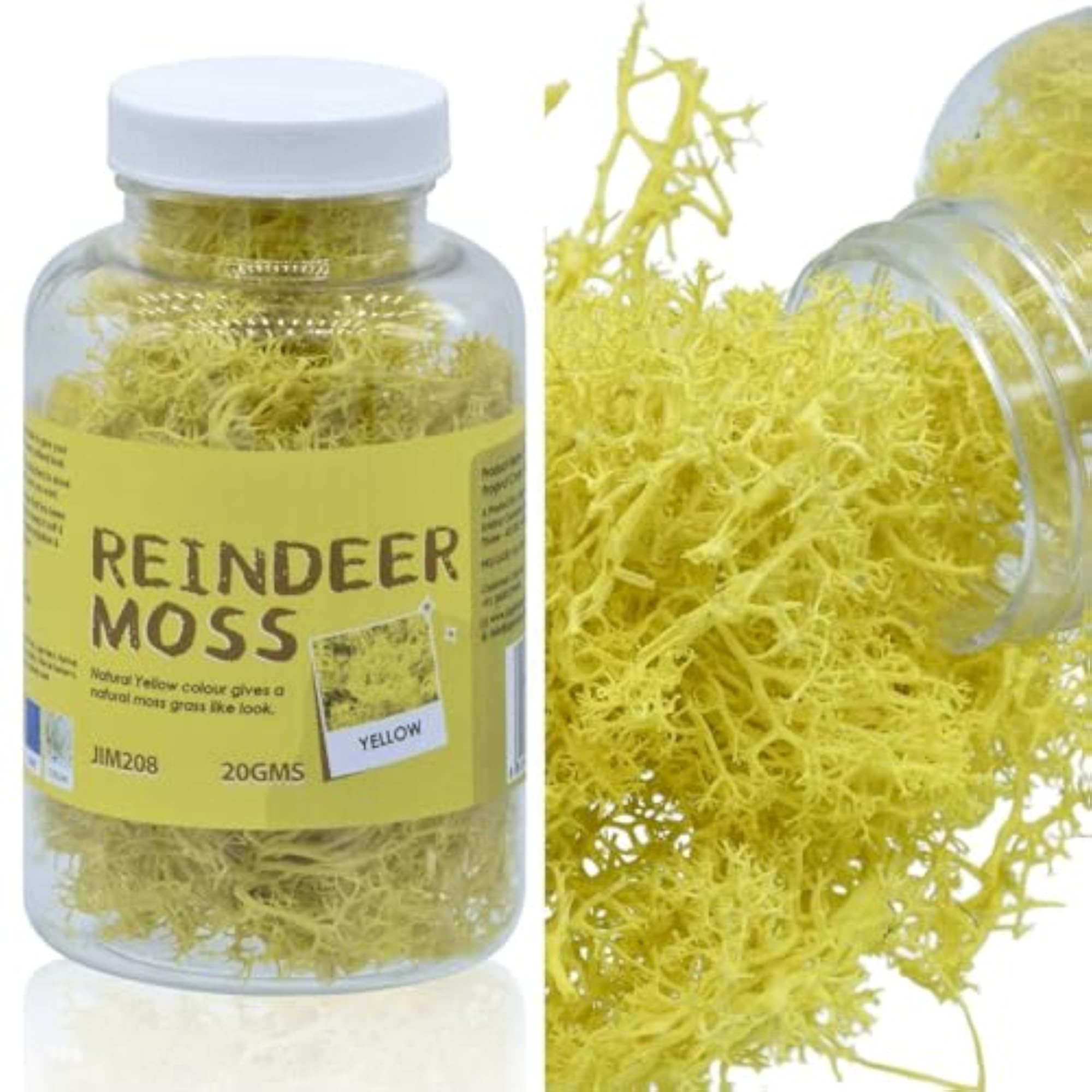 Aadyacrafts Natural Reindeer Moss Decorative Material, 20g