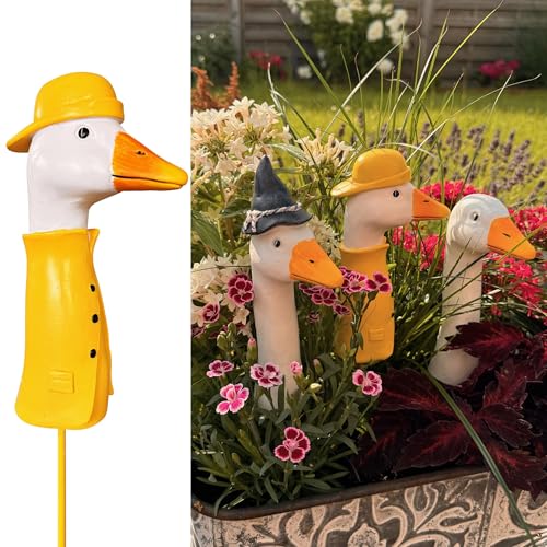 Online Fuchs BLUMENSTECKER, Beetstecker Gänsehals, Gans - 16 bis 17...