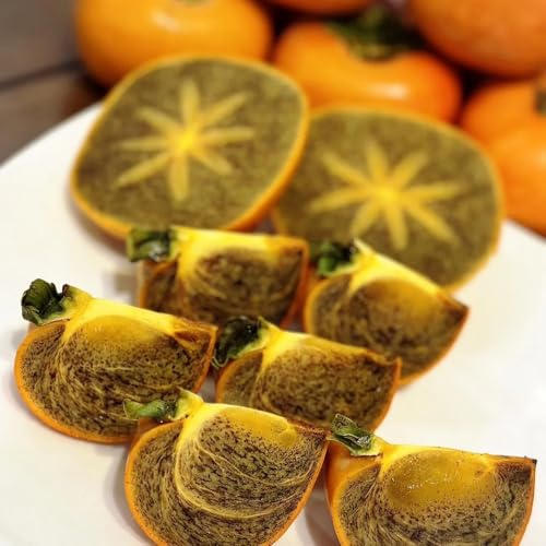 Semillas de diospyros digyna - caqui negro - kaki, decoración de jardín para exterior pudín de chocolate con zapote negro, caqui resistente 40pcs