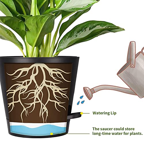 Image of Heart Home Plastic Titan Pot|Garden Container for Plants & Flowers|Self-Watering Pot with Drainage Holes,6 Inch,Pack of 2 (White)
