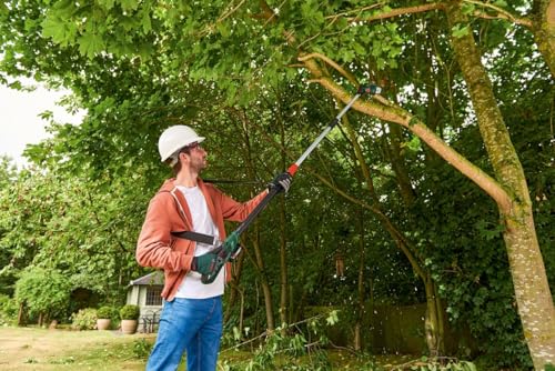 Bosch Home and Garden Akku Hochentaster UniversalChainPole 18 (Akku, Ladegerät, Karton, 18 Volt System...