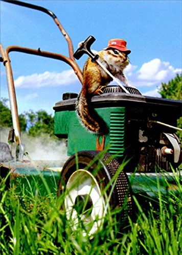 Chipmunk Lawnmower Cute Funny Father's Day Card